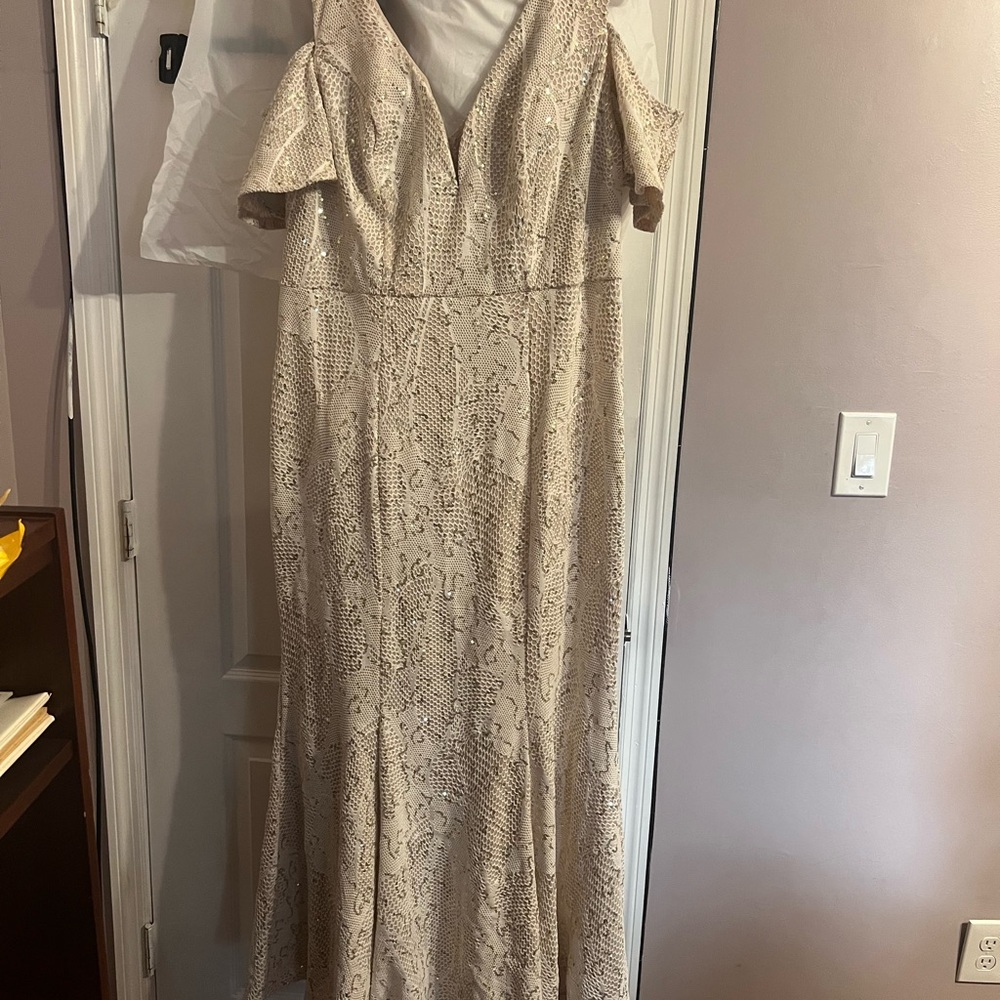 Cream Embellished Maxi Gown with Flutter Sleeves